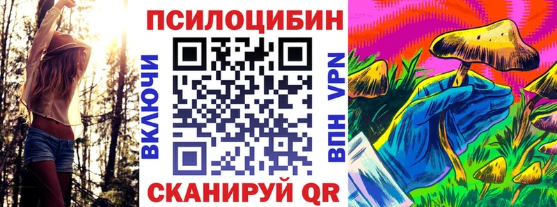 Псилоцибиновые грибы мицелий  Дербент 